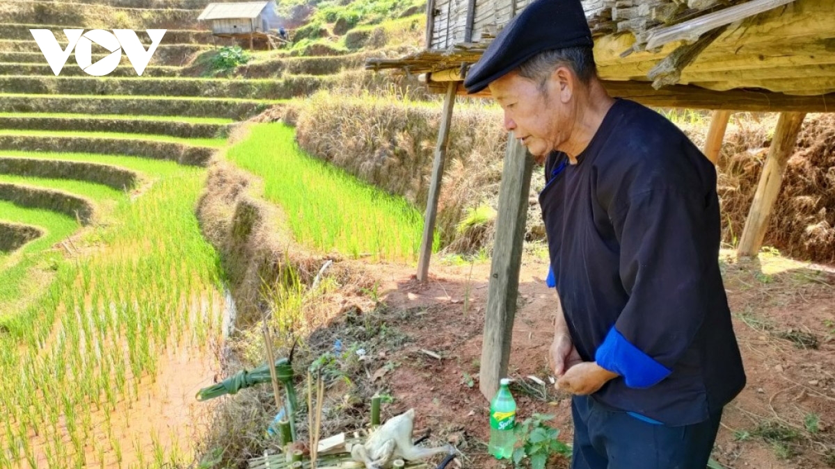 Unique terraced field worshiping ceremony of Mong ethnic people